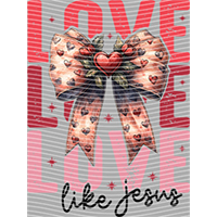 Valentine's Day-QRJ  7410